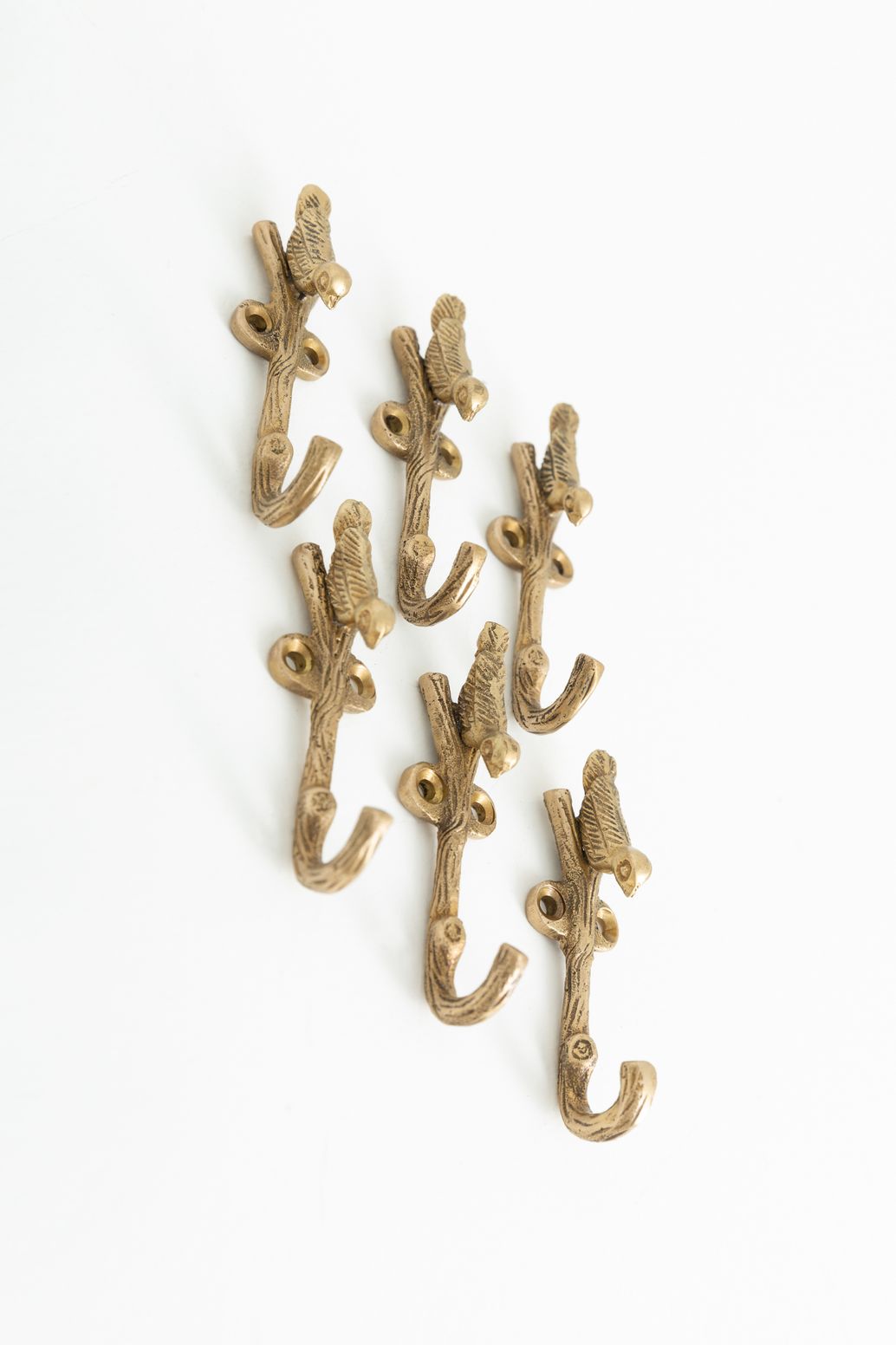 Goudkleurig haakje vogel