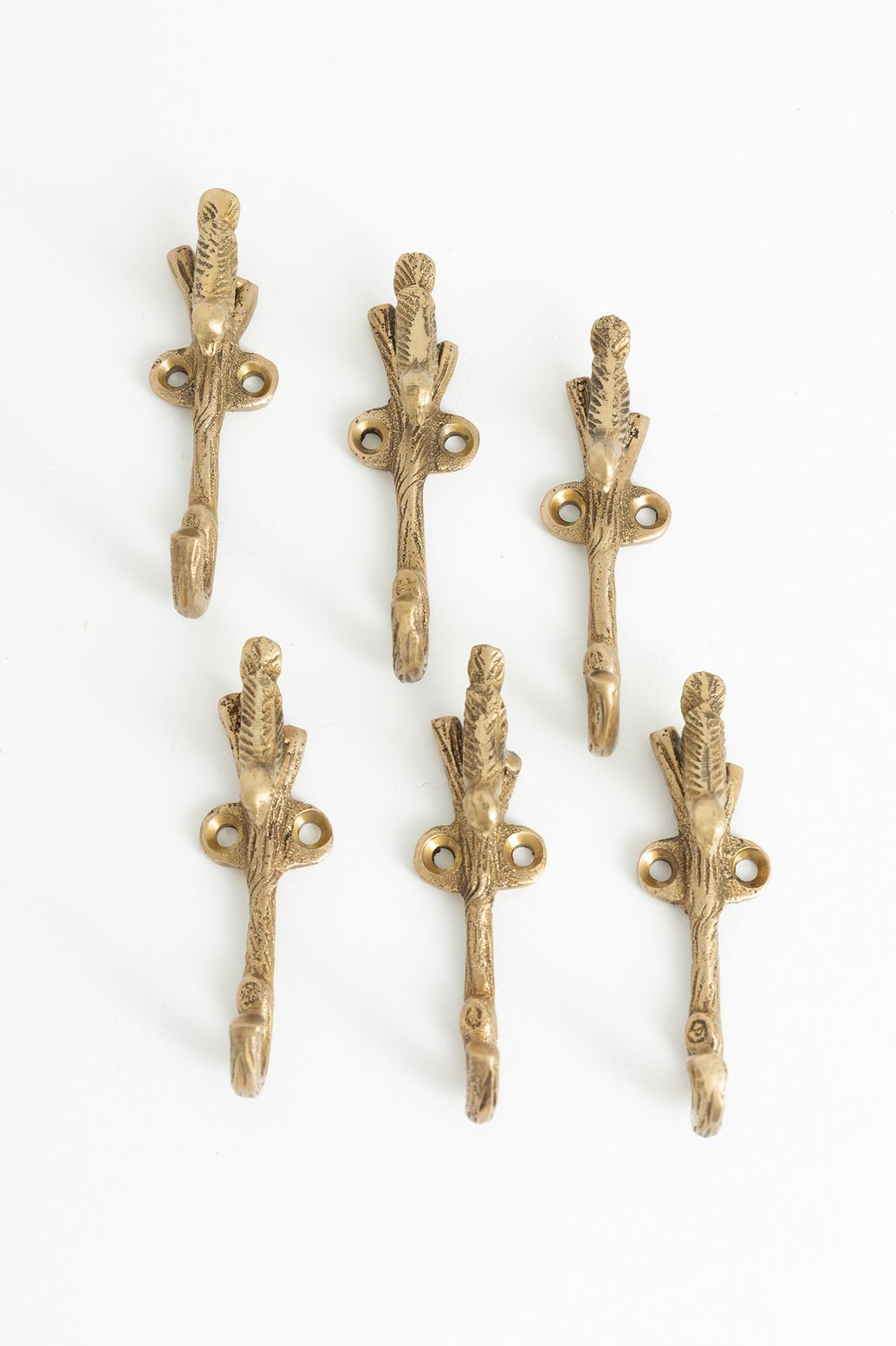 Goudkleurig haakje vogel