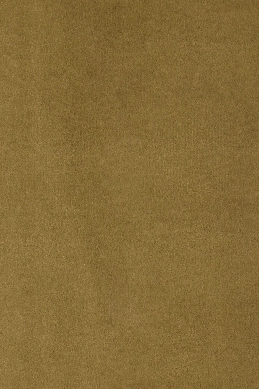 Échantillon de tissu Salvador - Vert olive 8