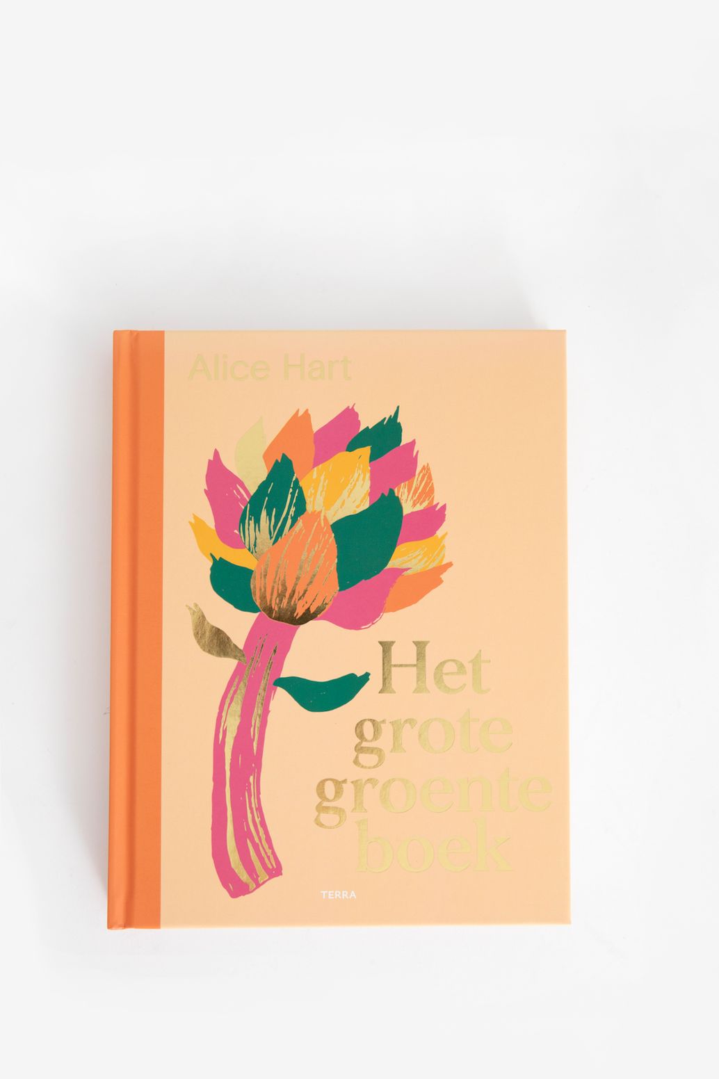 Boek Het grote groenteboek