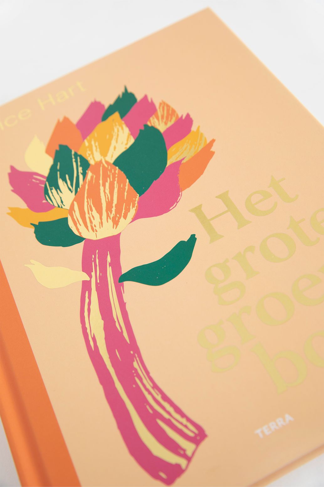 Boek Het grote groenteboek