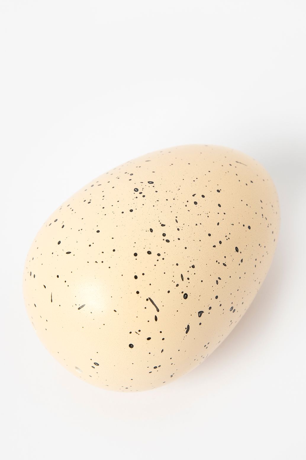 Rex London Grow your own dinosour