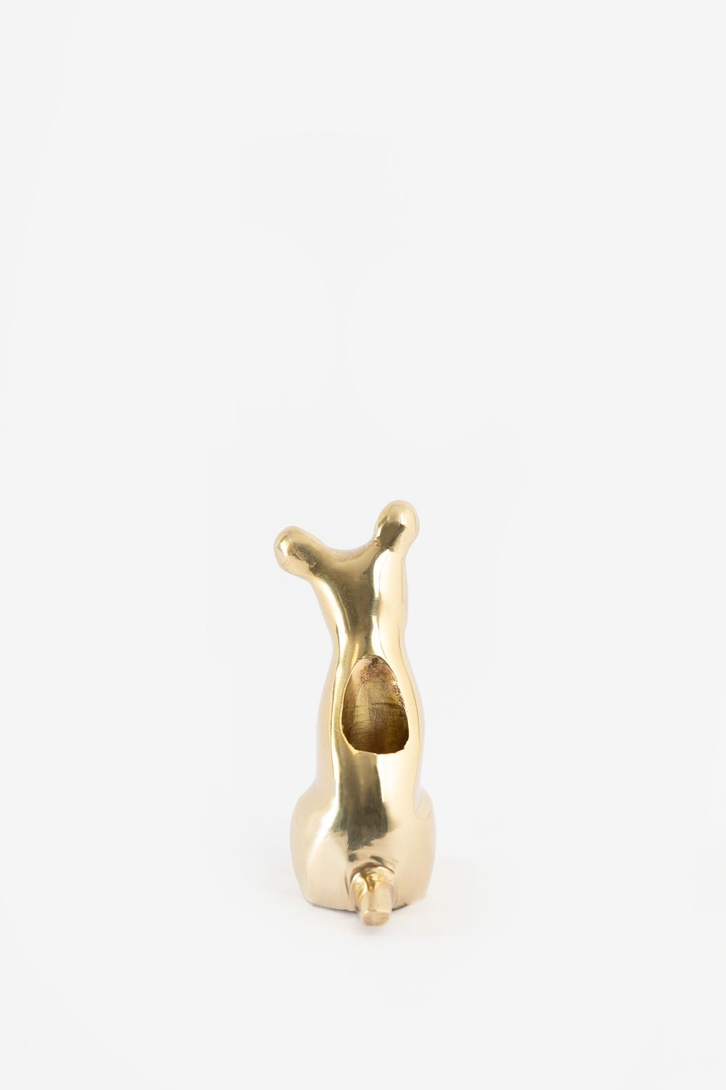 Goudkleurige kandelaar hond