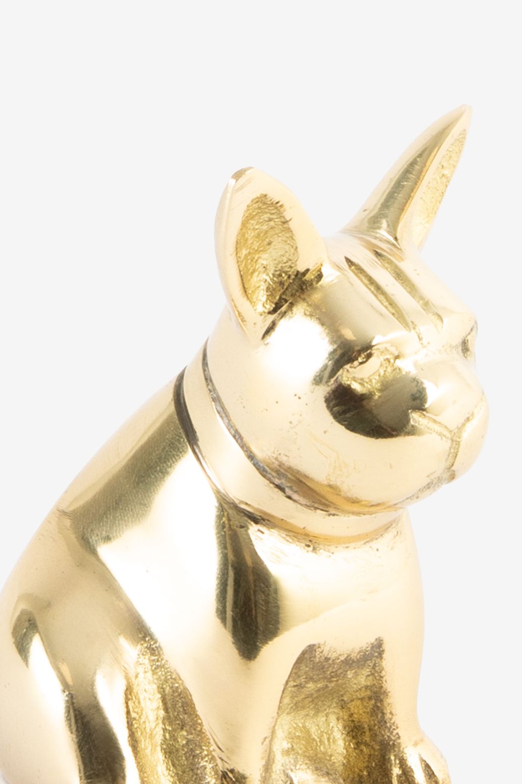 Goudkleurige flesopener bulldog