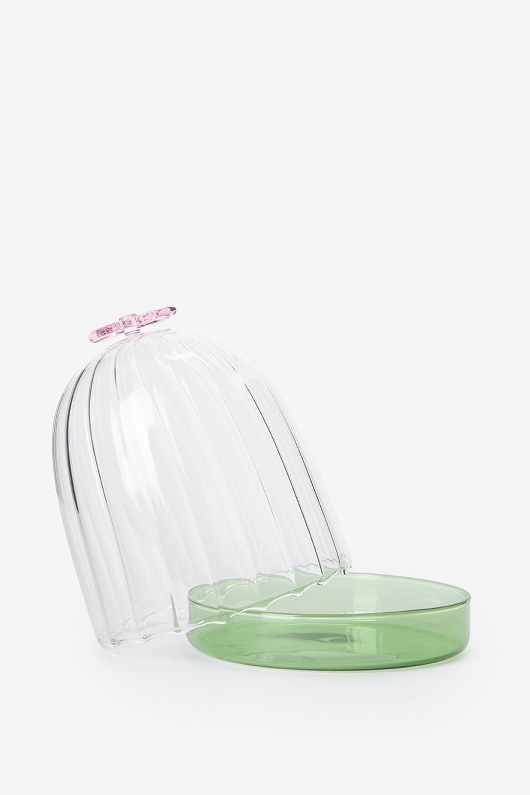 Glazen stolp met roze strikje