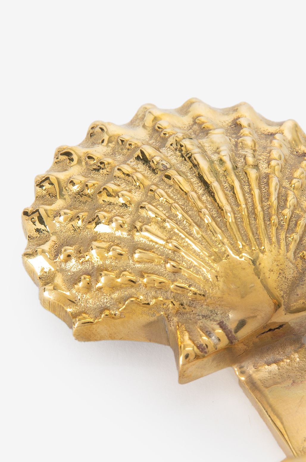 Doppelter Wandhaken Muschel - goldfarben