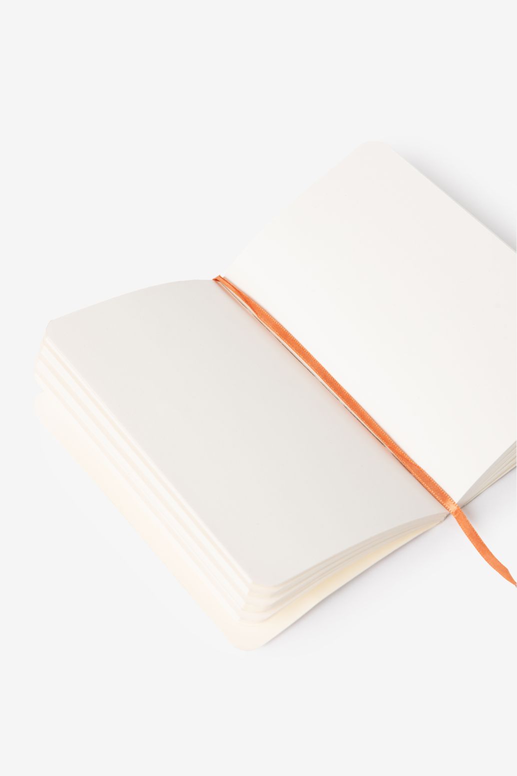 Carnet avec imprimé palmiers - multicolore