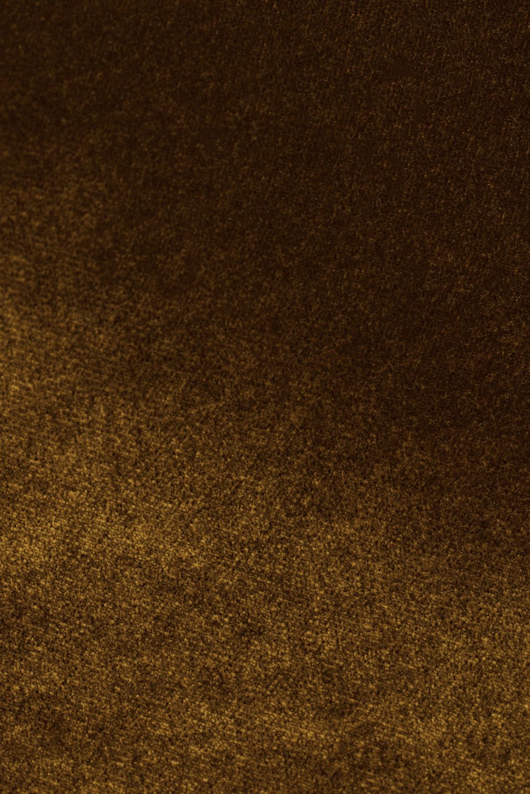 Échantillon de tissu Royal - Vert foncé