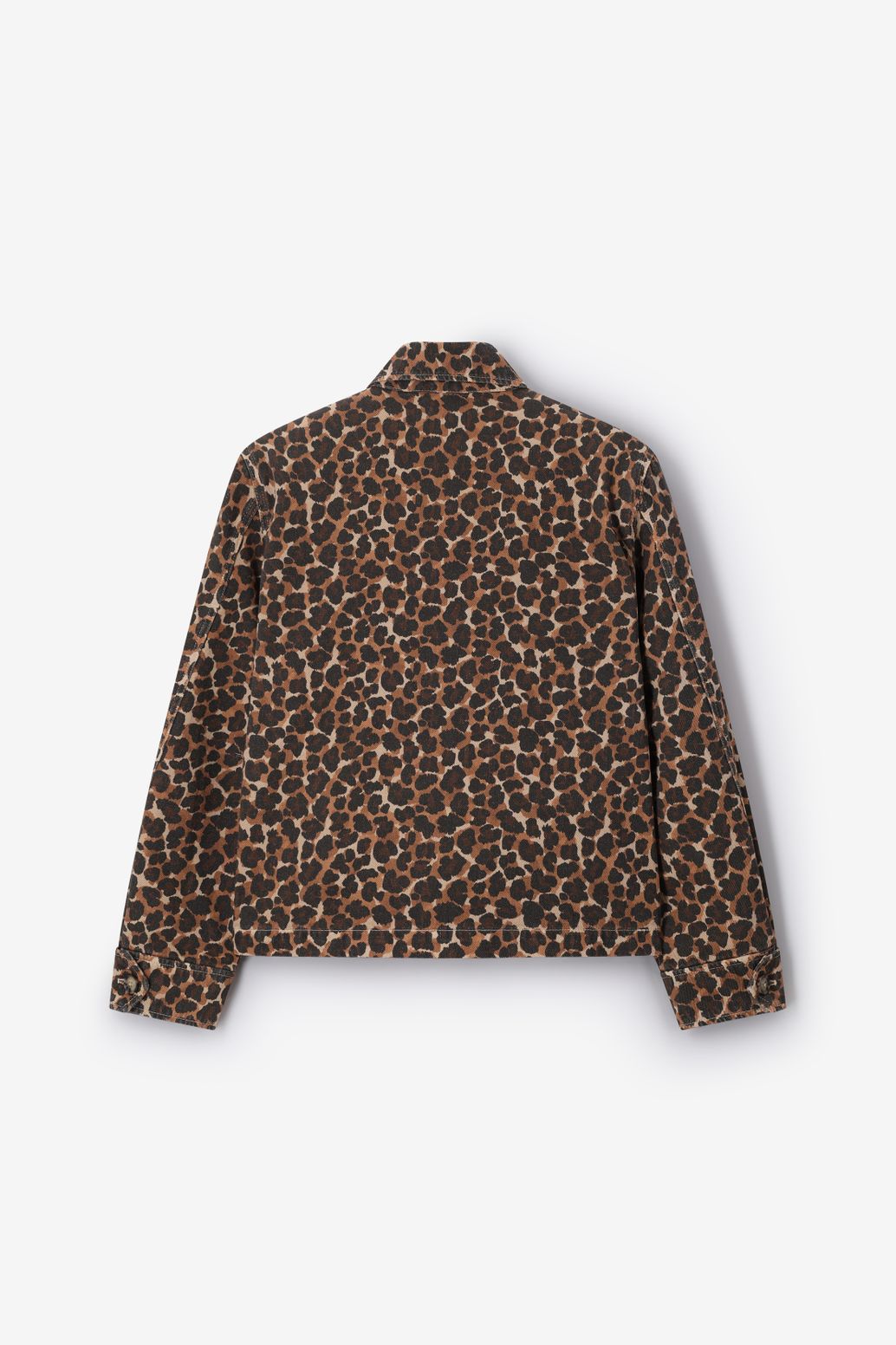 Bruin leopard jack