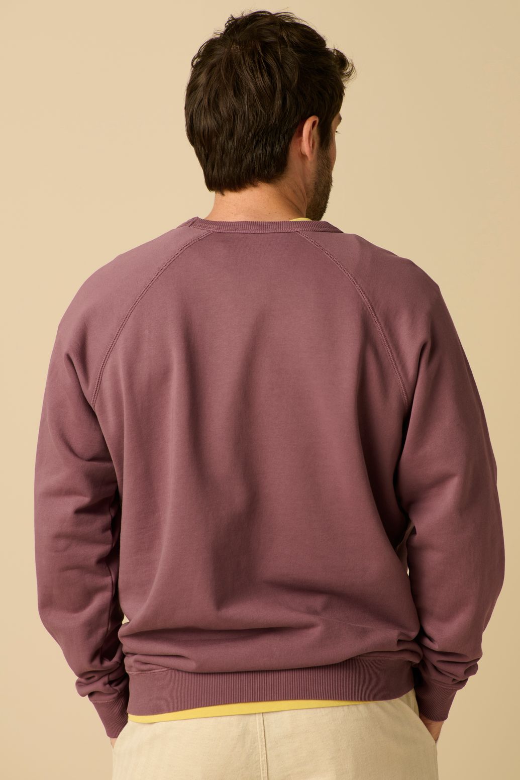 Donkerpaarse sweater