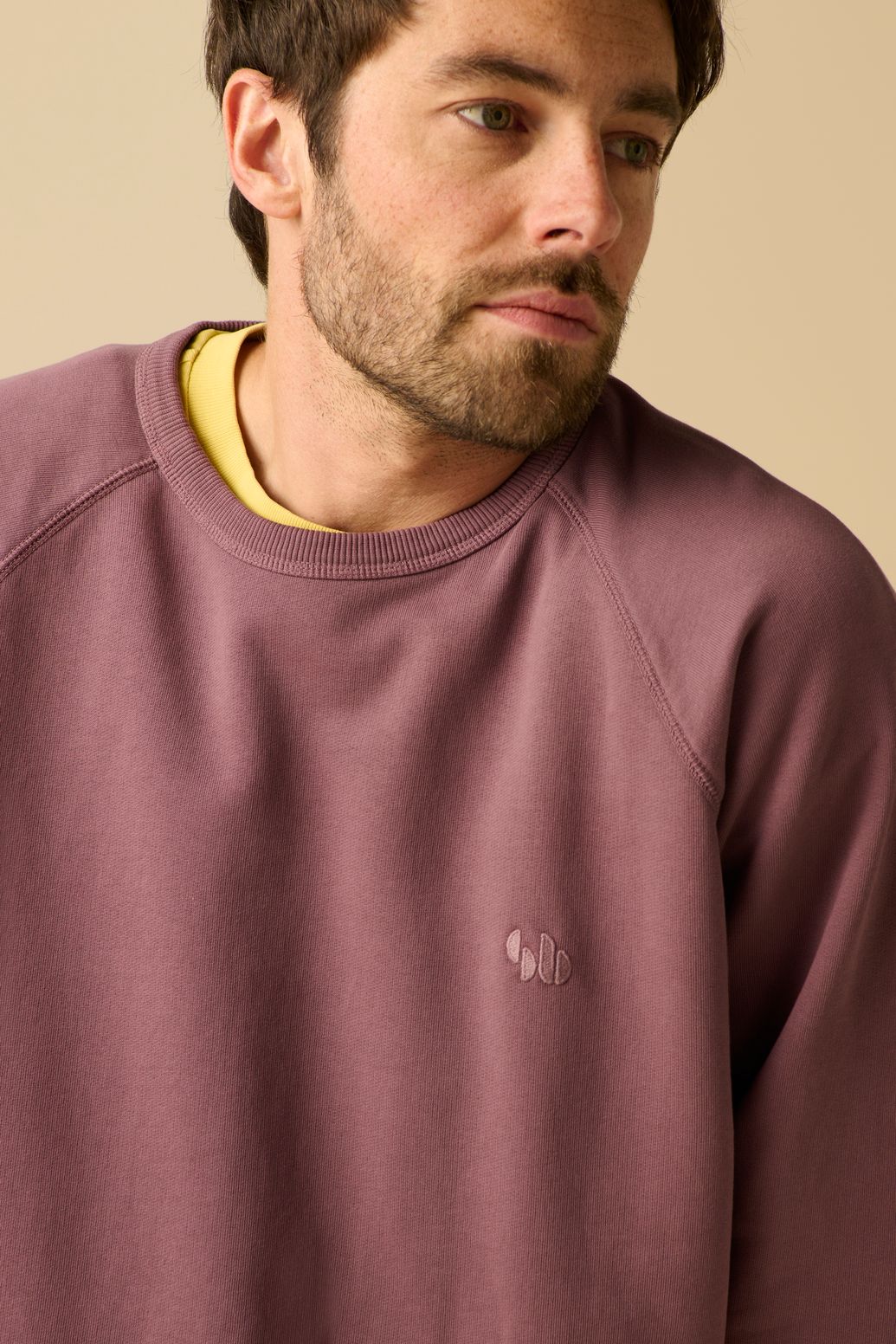 Donkerpaarse sweater
