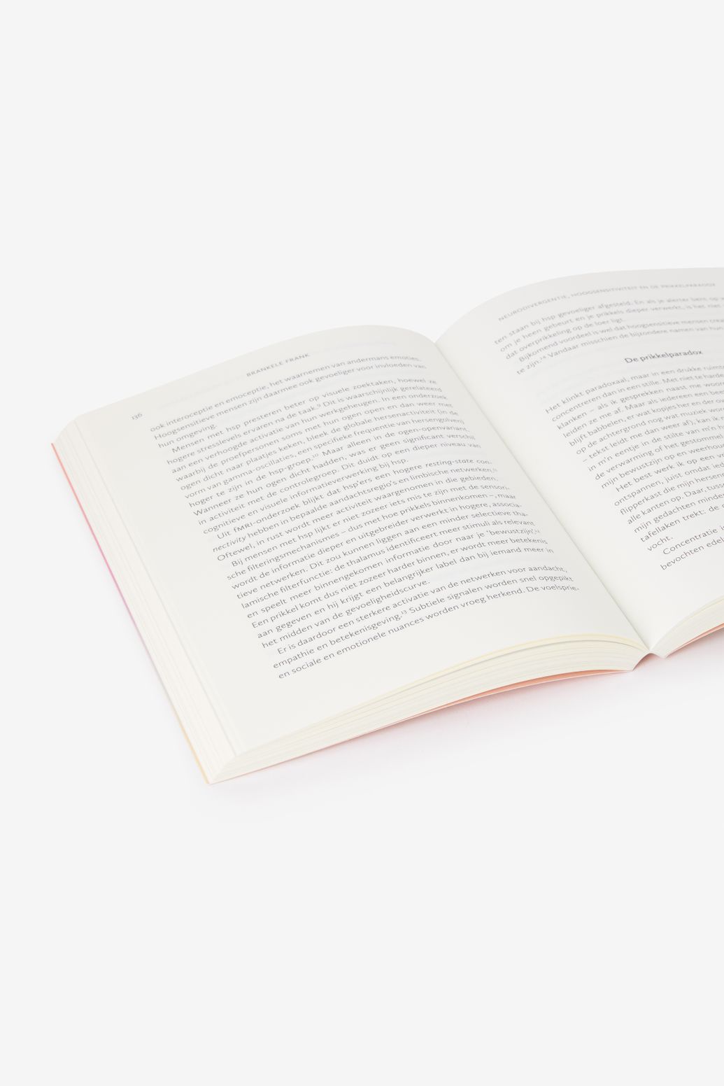 Het Grote Ontprikkelboek